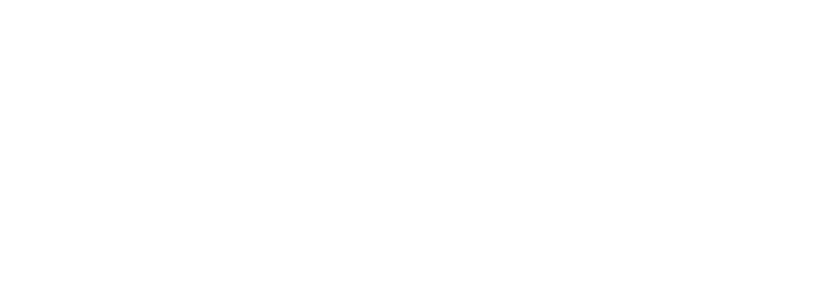 Ramzans Top